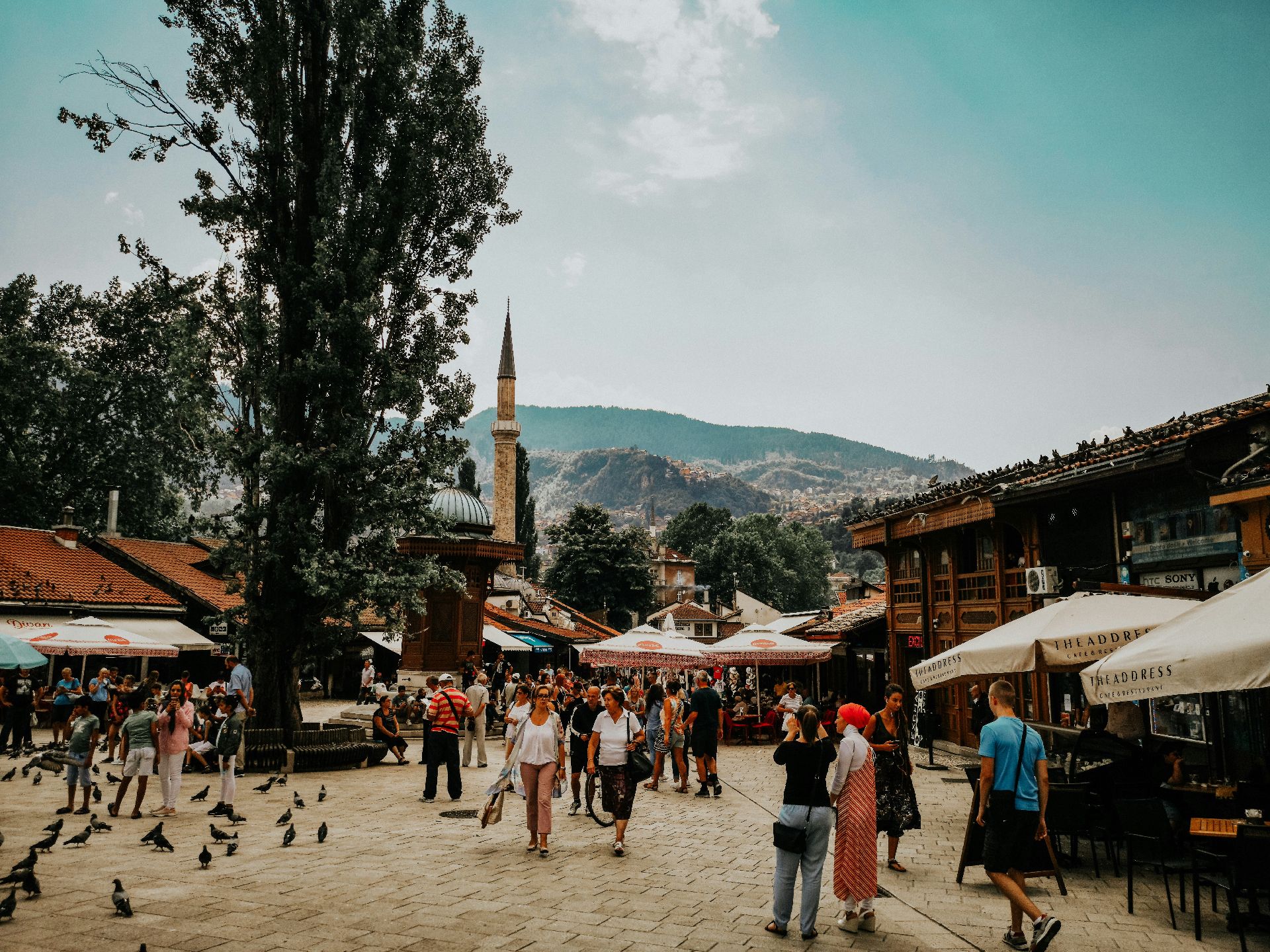 Photo by ADEV on Unsplash