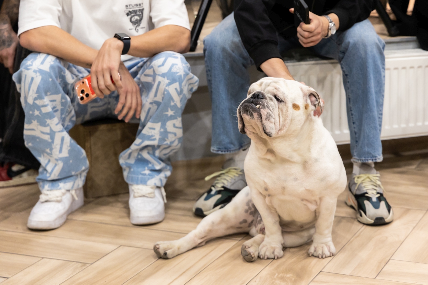 Bulldog