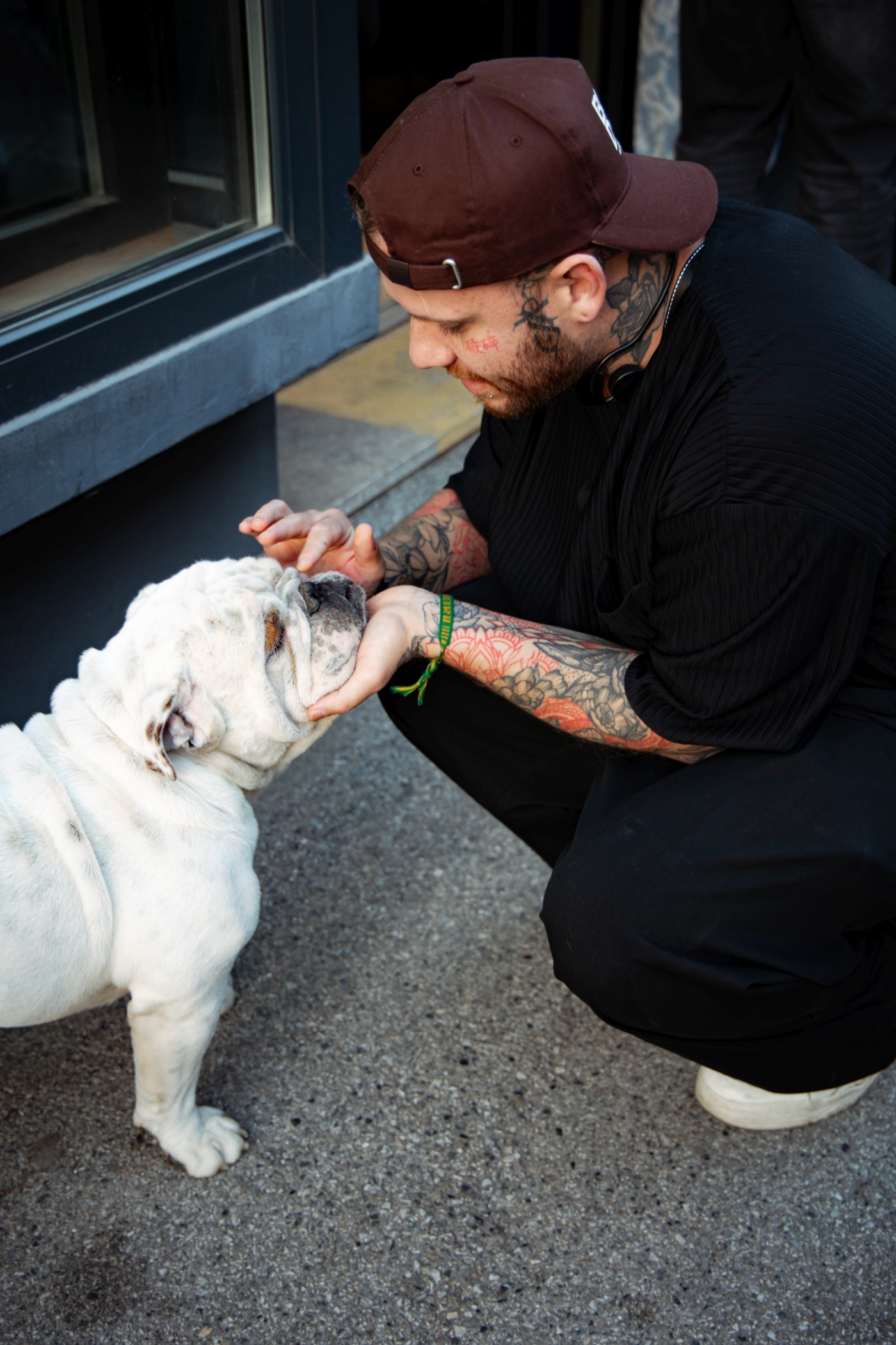 Bulldog